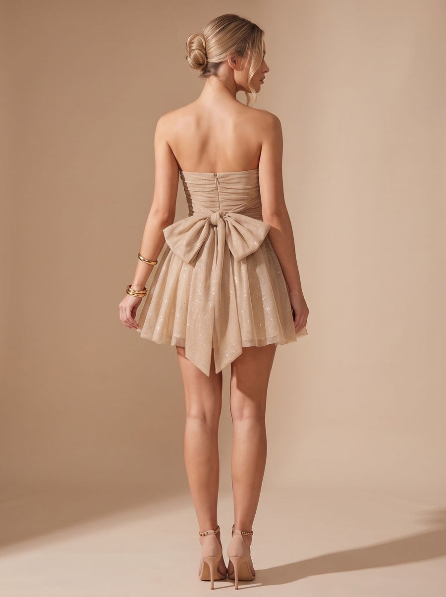 Rosemary-Miriam | Women's Glitter Pleated Bustier Mini Dress