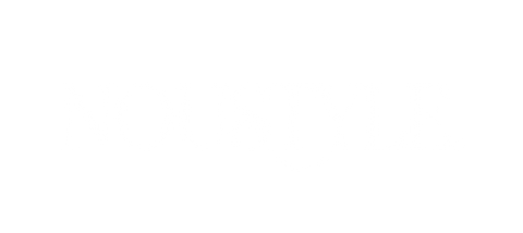 noustyle